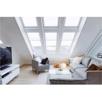 Velux midthengslede takvindu